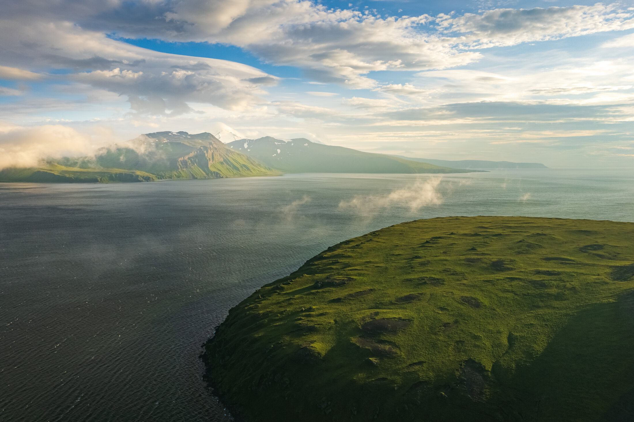 Wild grass on Umnak Island